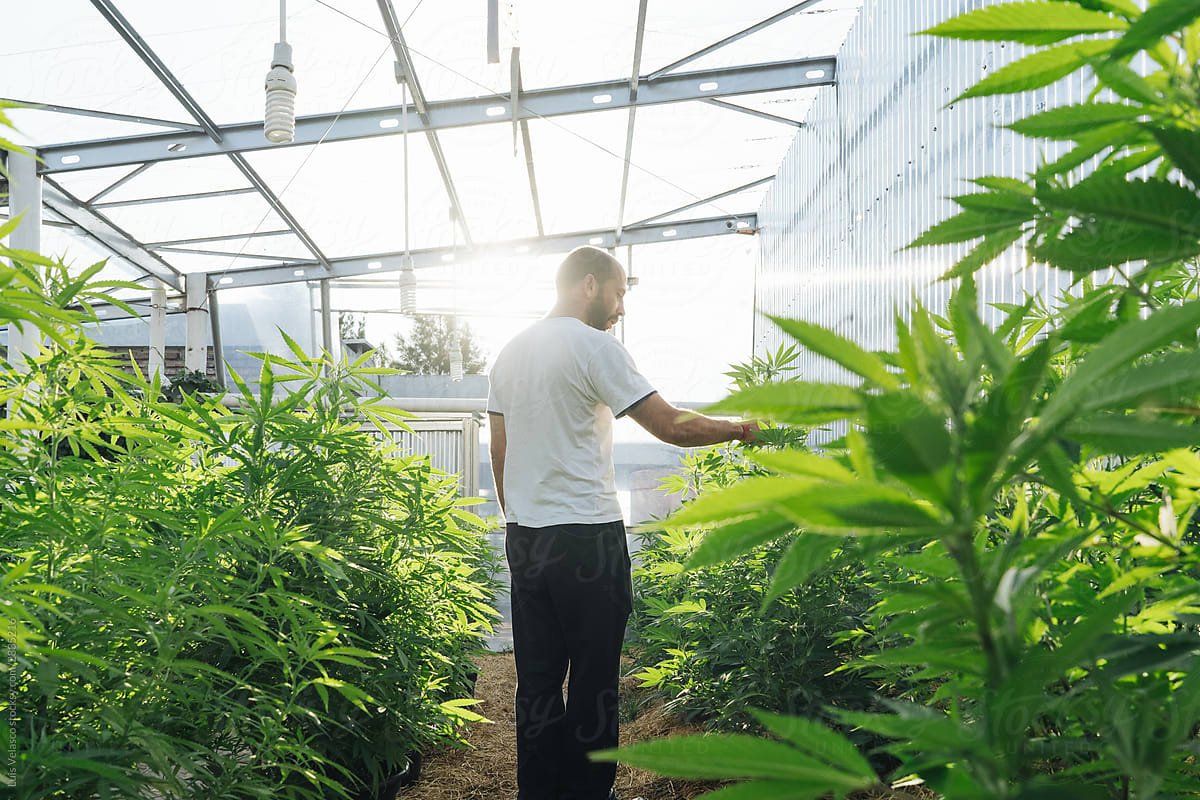 Elevating Experiences at Cloud 9 Grand Isle