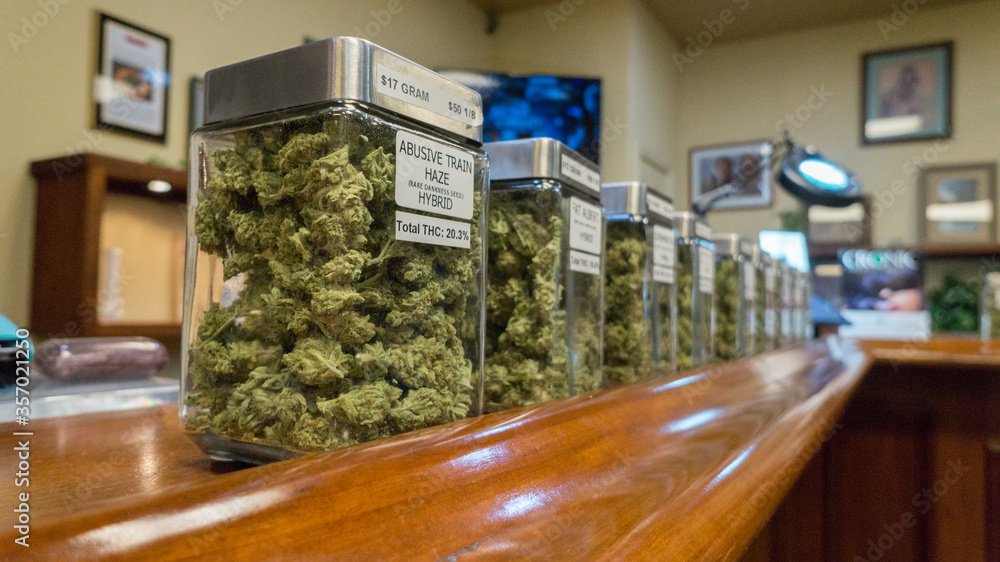 The Next Era of Programmatic Advertising in the Cannabis Industry